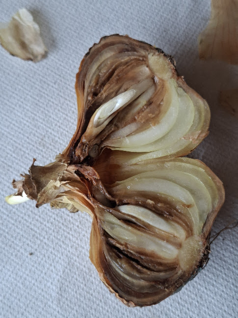 Sibulalest (Rhizoglyphus spp.) (9)